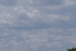 0124LW7D0001_edited-1