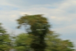 0106CB7D8079