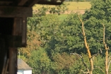 0150cb1d5316