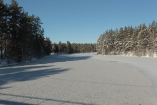 0142cb1d7468