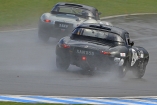 2013 Donington Historic Festival - E Type Jaguar 0651cb7d0421