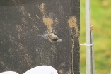 0120cb1d0778