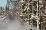 2011 - SS19 Torntorp II - Sweden 0155cb1d9479