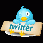 twitter-logo-bird twitter-logo-bird