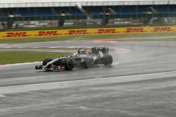 World © Octane Photographic Ltd. Saturday 5th July 2014. British GP, Silverstone, UK - Formula 1 Practice 3. Sauber C33 – Adrian Sutil. Digital Ref: 1017LB1D2846