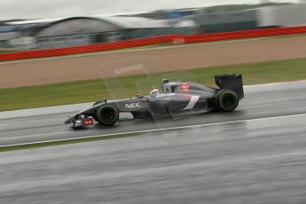 World © Octane Photographic Ltd. Saturday 5th July 2014. British GP, Silverstone, UK - Formula 1 Practice 3. Sauber C33 – Adrian Sutil. Digital Ref: 1017LB1D2924