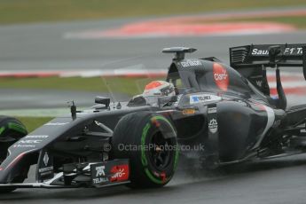 World © Octane Photographic Ltd. Saturday 5th July 2014. British GP, Silverstone, UK - Formula 1 Practice 3. Sauber C33 – Adrian Sutil. Digital Ref: 1017LB1D9311