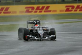 World © Octane Photographic Ltd. Saturday 5th July 2014. British GP, Silverstone, UK - Formula 1 Practice 3. Sauber C33 – Adrian Sutil. Digital Ref: 1017LB1D9397