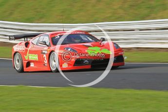 © Octane Photographic 2010. British GT, Oulton Park 3rd April 2010. Digital Ref :