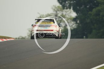 © Octane Photographic Ltd. 2010. British Touring Car Championship – Oulton Park. Saturday 5th June 2010. Digital Ref : 0125CB1D0892