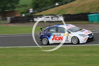 © Octane Photographic Ltd. 2010. British Touring Car Championship – Oulton Park. Saturday 5th June 2010. Digital Ref : 0125CB7D3360