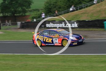 © Octane Photographic Ltd. 2010. British Touring Car Championship – Oulton Park. Saturday 5th June 2010. Digital Ref : 0125CB7D3373