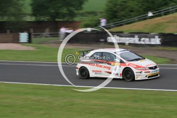 © Octane Photographic Ltd. 2010. British Touring Car Championship – Oulton Park. Saturday 5th June 2010. Digital Ref : 0125CB7D3388