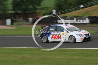 © Octane Photographic Ltd. 2010. British Touring Car Championship – Oulton Park. Saturday 5th June 2010. Digital Ref : 0125CB7D3410