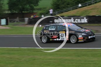 © Octane Photographic Ltd. 2010. British Touring Car Championship – Oulton Park. Saturday 5th June 2010. Digital Ref : 0125CB7D3422