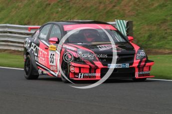 © Octane Photographic Ltd. 2010. British Touring Car Championship – Oulton Park. Saturday 5th June 2010. Digital Ref : 0125CB7D3591
