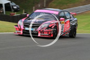 © Octane Photographic Ltd. 2010. British Touring Car Championship – Oulton Park. Saturday 5th June 2010. Digital Ref : 0125CB7D4535