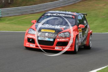 © Octane Photographic Ltd. 2010. British Touring Car Championship – Oulton Park. Saturday 5th June 2010. Digital Ref : 0125CB7D4539