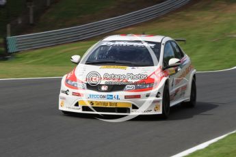 © Octane Photographic Ltd. 2010. British Touring Car Championship – Oulton Park. Saturday 5th June 2010. Digital Ref : 0125CB7D4544