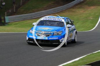 © Octane Photographic Ltd. 2010. British Touring Car Championship – Oulton Park. Saturday 5th June 2010. Digital Ref : 0125CB7D4550