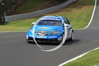 © Octane Photographic Ltd. 2010. British Touring Car Championship – Oulton Park. Saturday 5th June 2010. Digital Ref : 0125CB7D4588