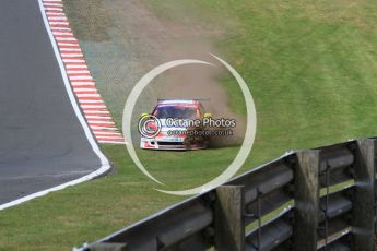 © Octane Photographic Ltd. 2010. British Touring Car Championship – Oulton Park. Saturday 5th June 2010. Digital Ref : 0125CB7D4603