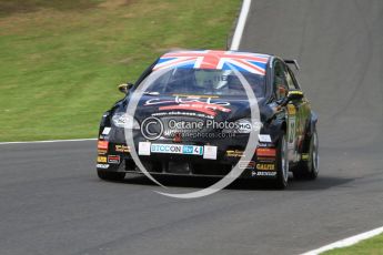 © Octane Photographic Ltd. 2010. British Touring Car Championship – Oulton Park. Saturday 5th June 2010. Digital Ref : 0125CB7D4612