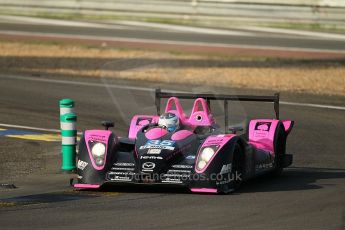 2010 Le Mans, Saturday June 12th 2010. Arnage Corner. Digital Ref : CB1D4185