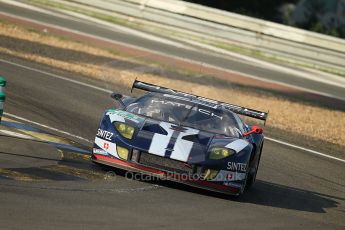 2010 Le Mans, Saturday June 12th 2010. Arnage Corner. Digital Ref : CB1D4196