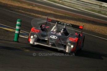 2010 Le Mans, Saturday June 12th 2010. Arnage Corner. Digital Ref : CB1D4342