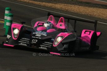 2010 Le Mans. Arnage Corner. Digital Ref : LW40D4526