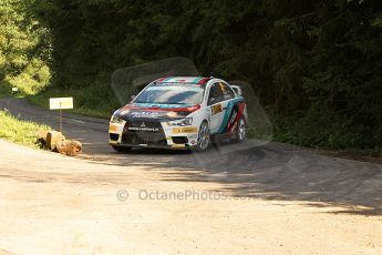 © North One Sport Ltd.2010 / Octane Photographic Ltd. 
2010 WRC Germany SS13 Freisen Westrich II, 21st August 2010. Digital Ref : 0161cb1d7546