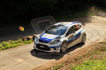 © North One Sport Ltd.2010 / Octane Photographic Ltd. 
2010 WRC Germany SS13 Freisen Westrich II, 21st August 2010. Digital Ref : 0161lw7d7027