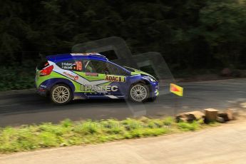 © North One Sport Ltd.2010 / Octane Photographic Ltd. 
2010 WRC Germany SS13 Freisen Westrich II, 21st August 2010. Digital Ref : 0161lw7d7043