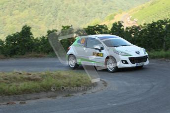 © North One Sport Ltd. 2010 / Octane Photographic Ltd. 2010 WRC Germany SS15, 22st August 2010. Digital Ref: 0210cb1d8577
