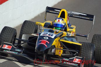 Tio Ellians, Formula Renault, Brands Hatch, 01/10/2011