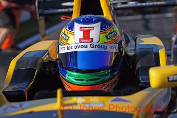 Tio Ellians, Formula Renault, Brands Hatch
