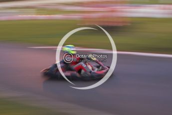 © Octane Photographic Ltd. 2011. Milton Keynes Daytona Karting, Forget-Me-Not Hospice charity racing. Sunday October 30th 2011. Digital Ref : 0194lw7d1683