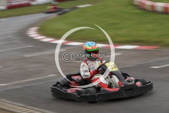 © Octane Photographic Ltd. 2011. Milton Keynes Daytona Karting, Forget-Me-Not Hospice charity racing. Sunday October 30th 2011. Digital Ref : 0194lw7d8764