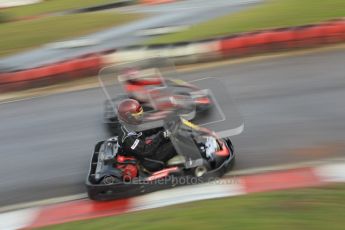 © Octane Photographic Ltd. 2011. Milton Keynes Daytona Karting, Forget-Me-Not Hospice charity racing. Sunday October 30th 2011. Digital Ref : 0194cb1d7909