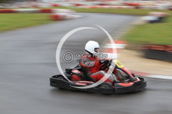 © Octane Photographic Ltd. 2011. Milton Keynes Daytona Karting, Forget-Me-Not Hospice charity racing. Sunday October 30th 2011. Digital Ref : 0194cb7d8414