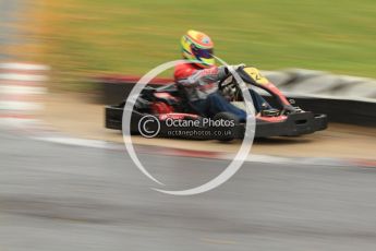 © Octane Photographic Ltd. 2011. Milton Keynes Daytona Karting, Forget-Me-Not Hospice charity racing. Sunday October 30th 2011. Digital Ref : 0194cb7d8665