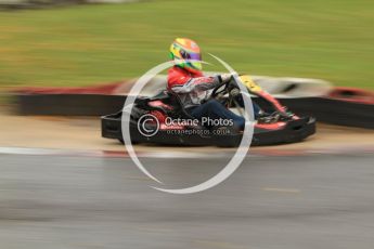 © Octane Photographic Ltd. 2011. Milton Keynes Daytona Karting, Forget-Me-Not Hospice charity racing. Sunday October 30th 2011. Digital Ref : 0194cb7d8691