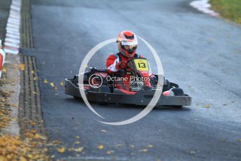 © Octane Photographic Ltd. 2011. Milton Keynes Daytona Karting, Forget-Me-Not Hospice charity racing. Sunday October 30th 2011. Digital Ref : 0194cb7d9645