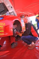 © Grize Motorsport. 2011 Pirelli Rally. 30th April 2011.