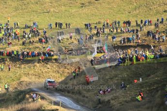 © North One Sport Ltd 2011 / Octane Photographic Ltd 2011. 12th November 2011 Wales Rally GB, WRC SS13 Sweet Lamb. Digital Ref : 0199cb1d8755