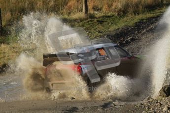 © North One Sport Ltd 2011 / Octane Photographic Ltd 2011. 12th November 2011 Wales Rally GB, WRC SS13 Sweet Lamb. Digital Ref : 0199lw7d9393