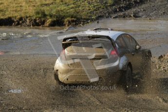 © North One Sport Ltd 2011 / Octane Photographic Ltd 2011. 12th November 2011 Wales Rally GB, WRC SS13 Sweet Lamb. Digital Ref : 0199lw7d9431