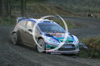© North One Sport Ltd 2011 / Octane Photographic Ltd 2011. 12th November 2011 Wales Rally GB, WRC SS17 Myherin. Digital Ref : 0198cb1d9361