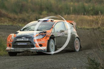 © North One Sport Ltd 2011 / Octane Photographic Ltd 2011. 12th November 2011 Wales Rally GB, WRC SS17 Myherin. Digital Ref : 0198cb1d9467